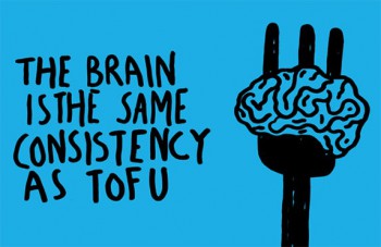 tofu-brain